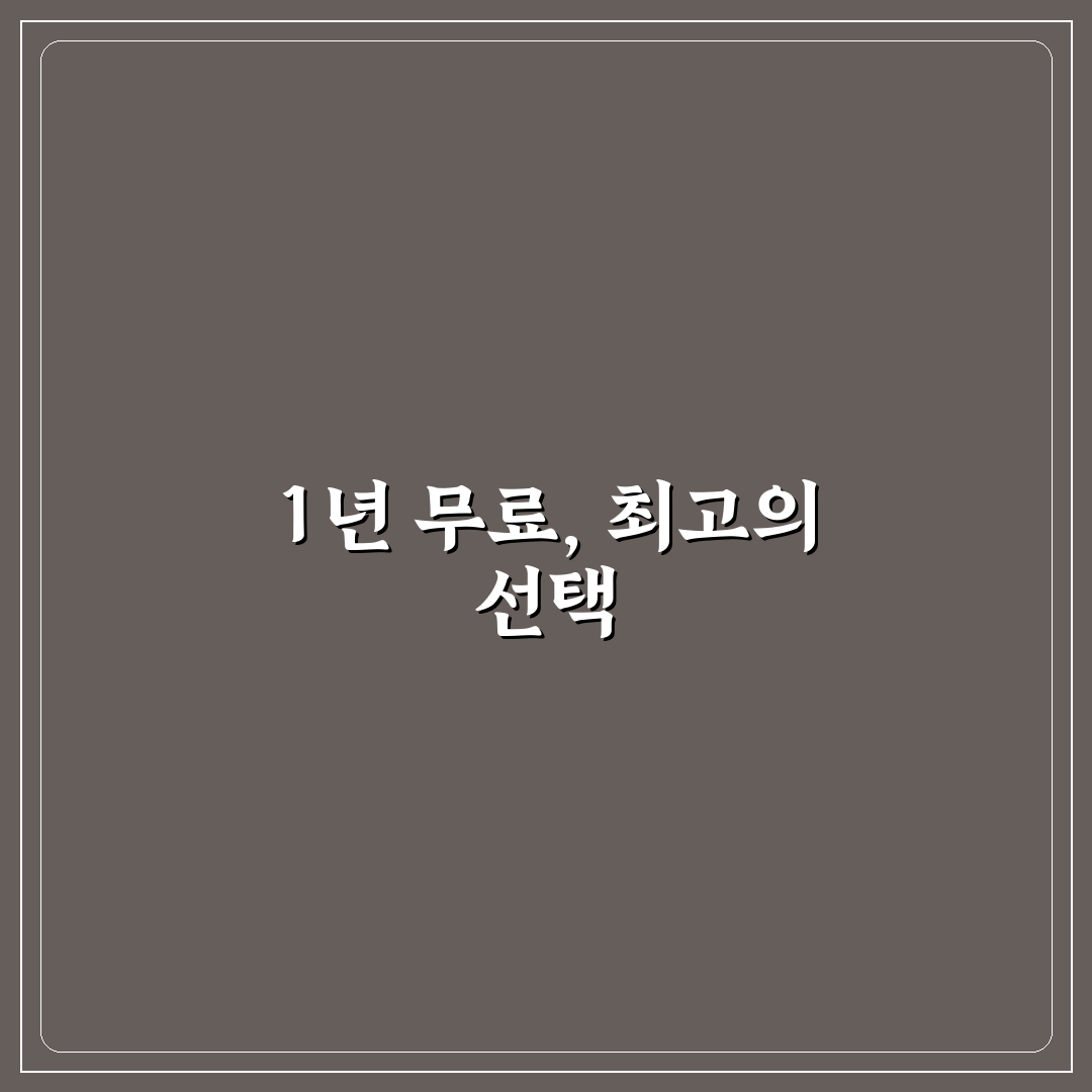 perplexity 1년 무료 이용 조건과 주요 비교 기준 총정리