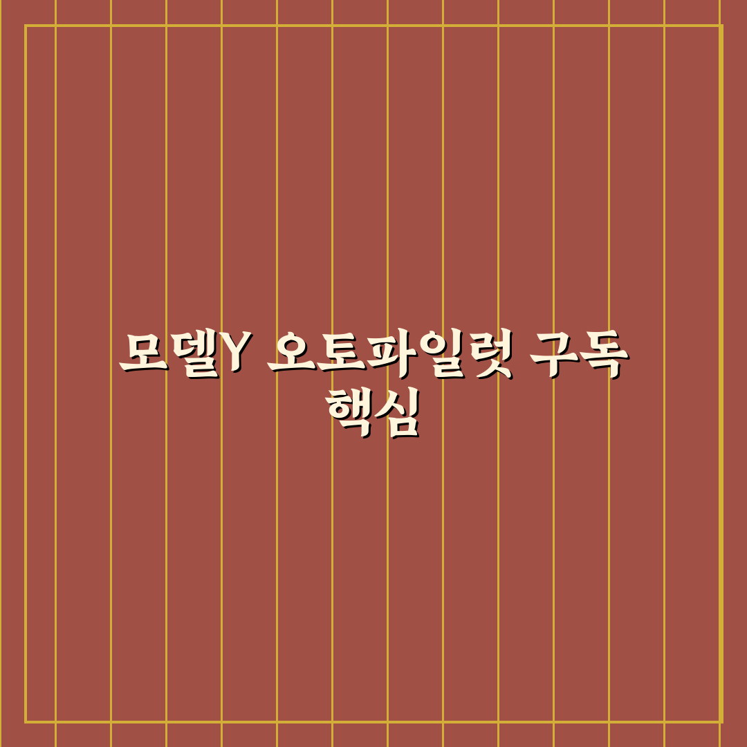 테슬라 모델Y RWD 오토파일럿 내비게이트 구독 가치 분석 기준