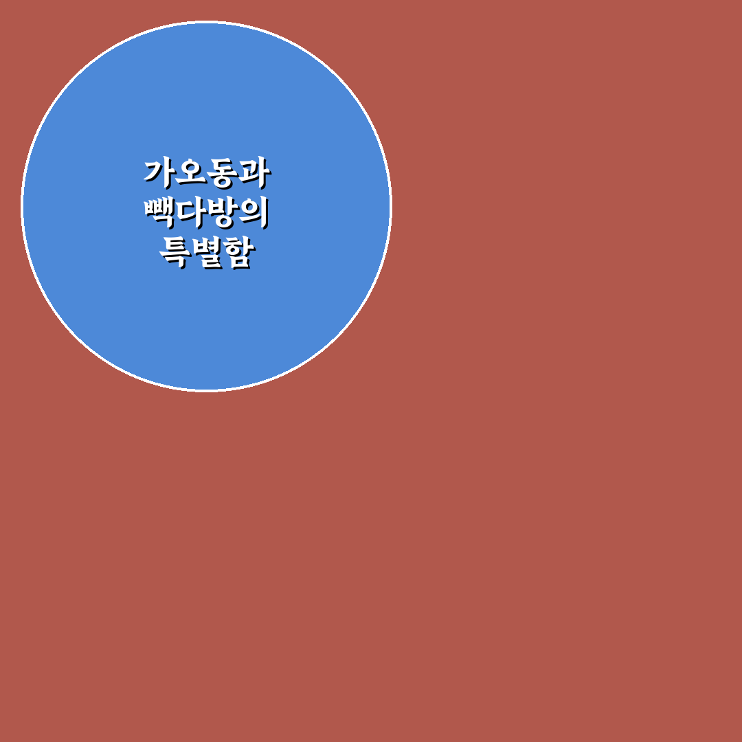 가오동 빽다방 메뉴별 맛과 가격 비교 분석 가이드