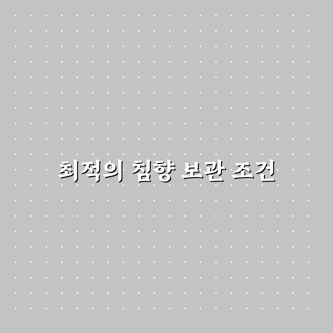 침향 보관법 비교와 5가지 체크포인트 분석
