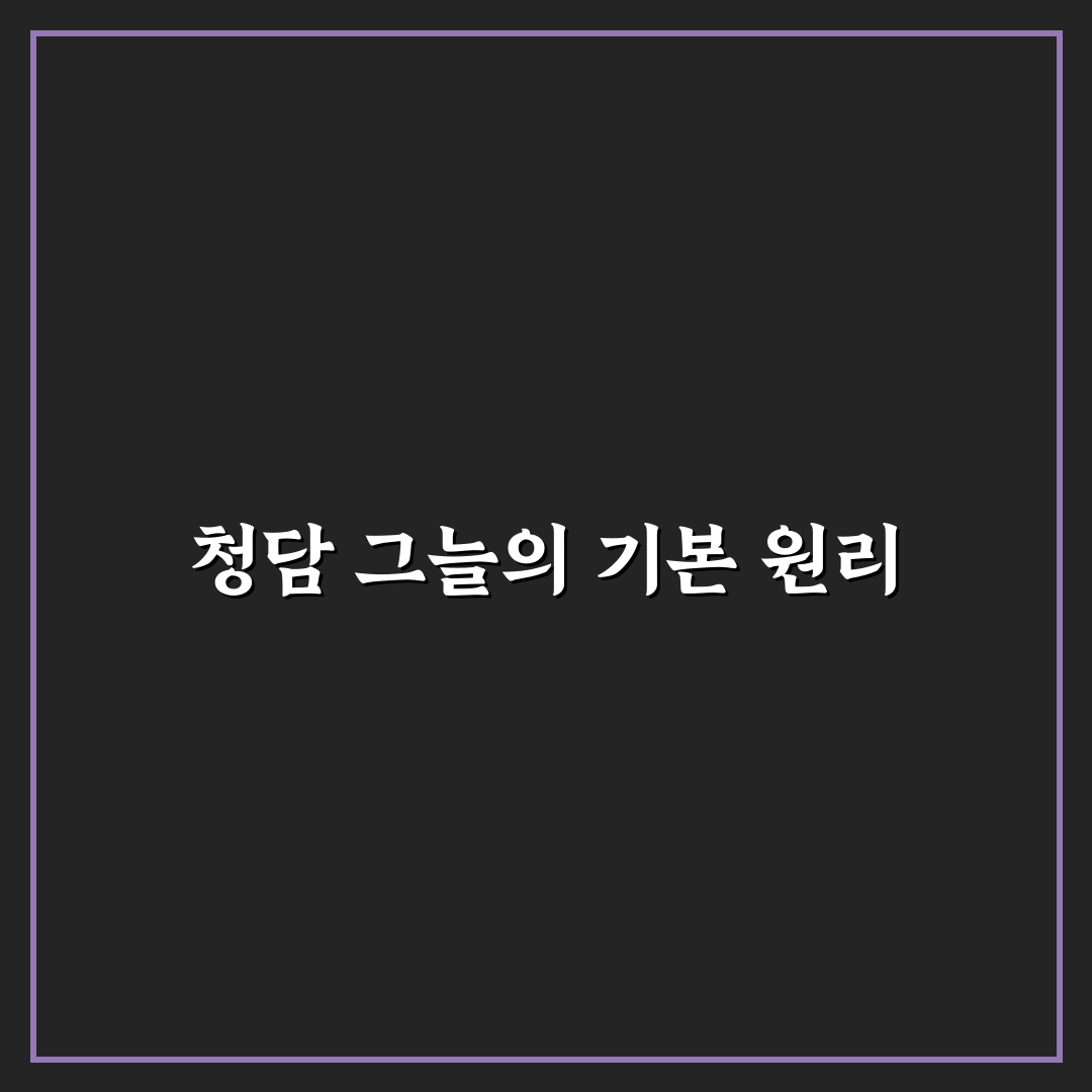 청담 그늘 관리 5가지 기준과 효과 분석 총정리