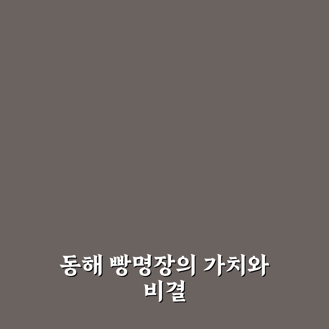동해 빵명장 5가지 기준별 비교와 선택 가이드