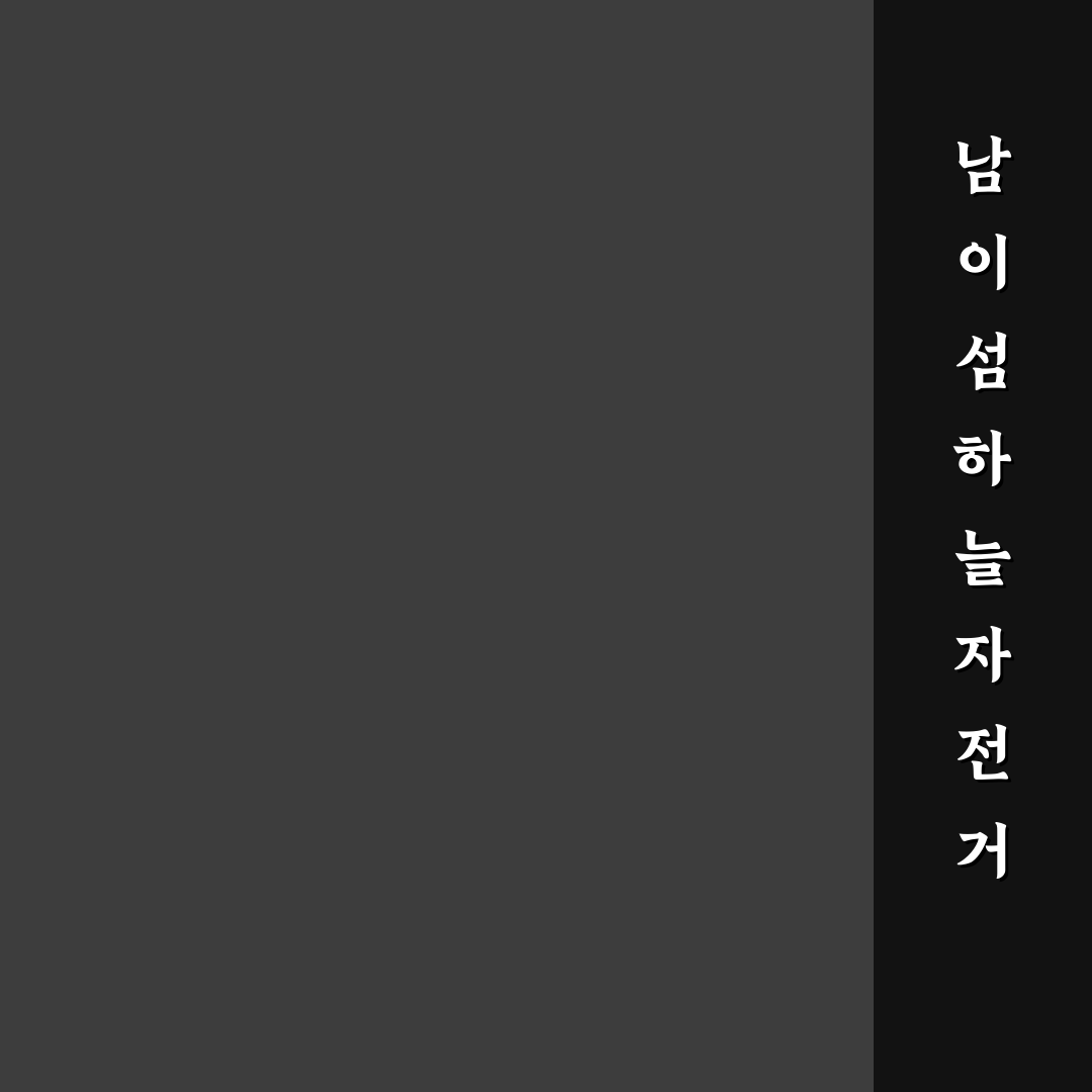 남이섬 하늘자전거 5가지 체크포인트 비교와 기준 분석