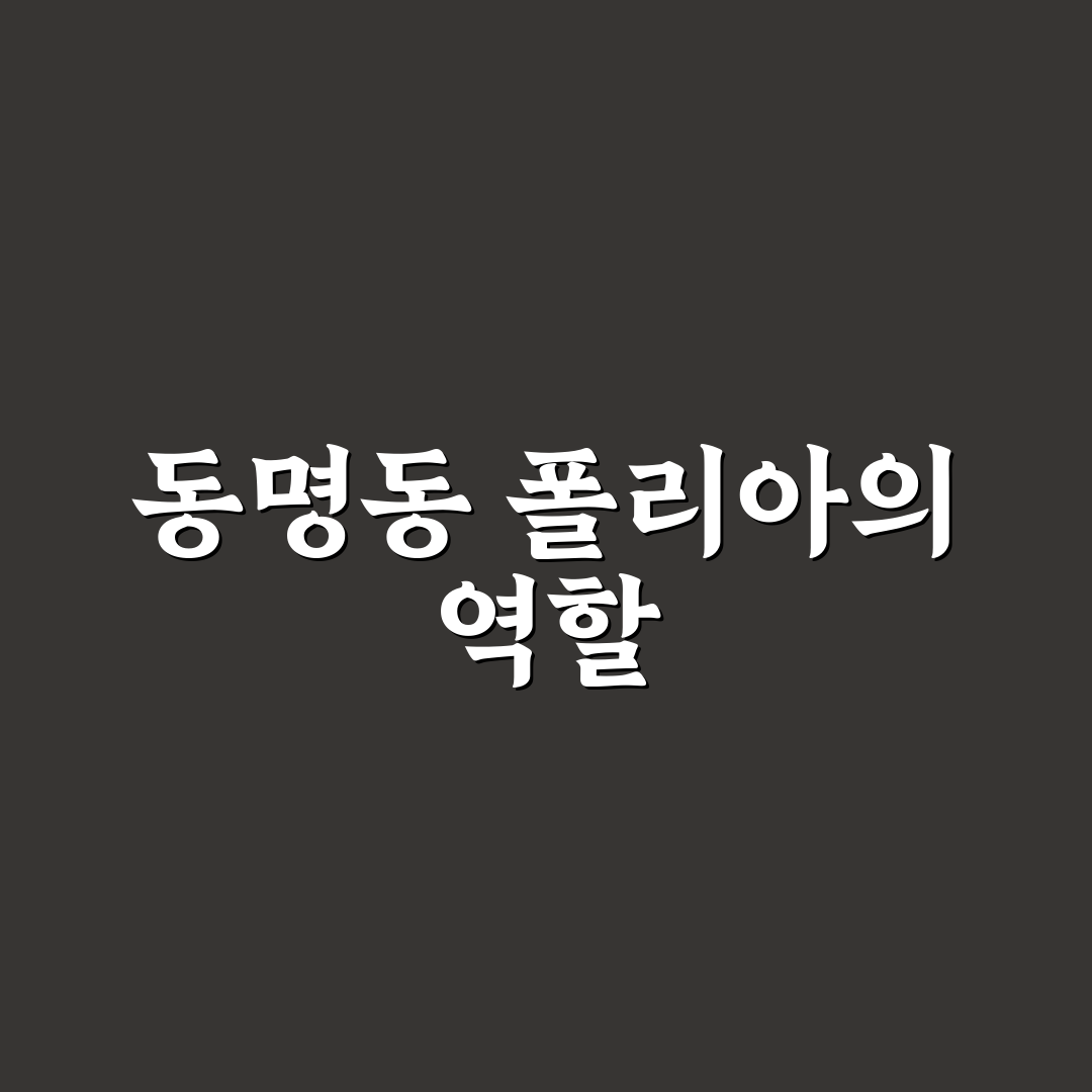동명동 폴리아 선택을 위한 5가지 비교 기준 총정리