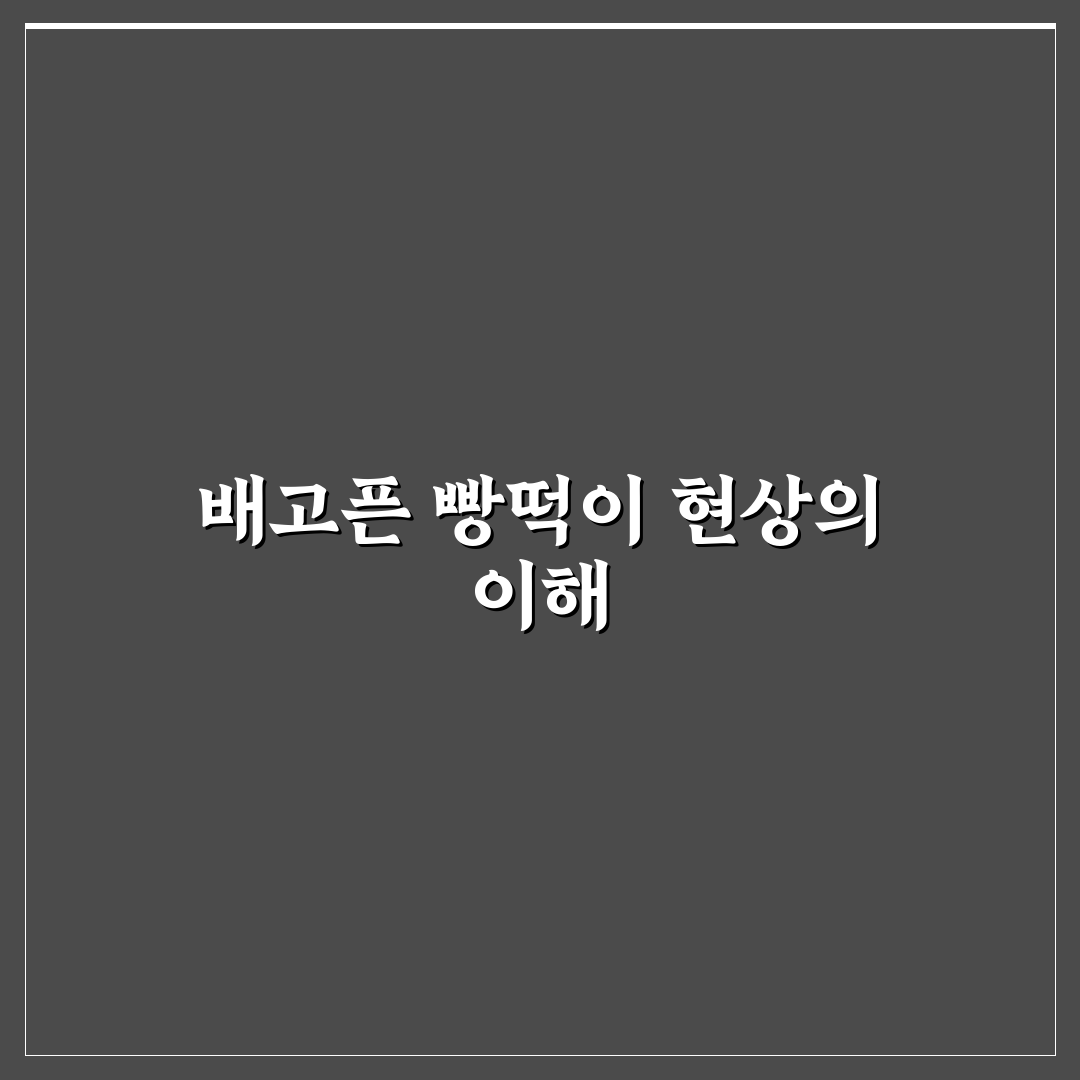 배고픈 빵떡이 선택 기준과 주요 체크포인트 분석