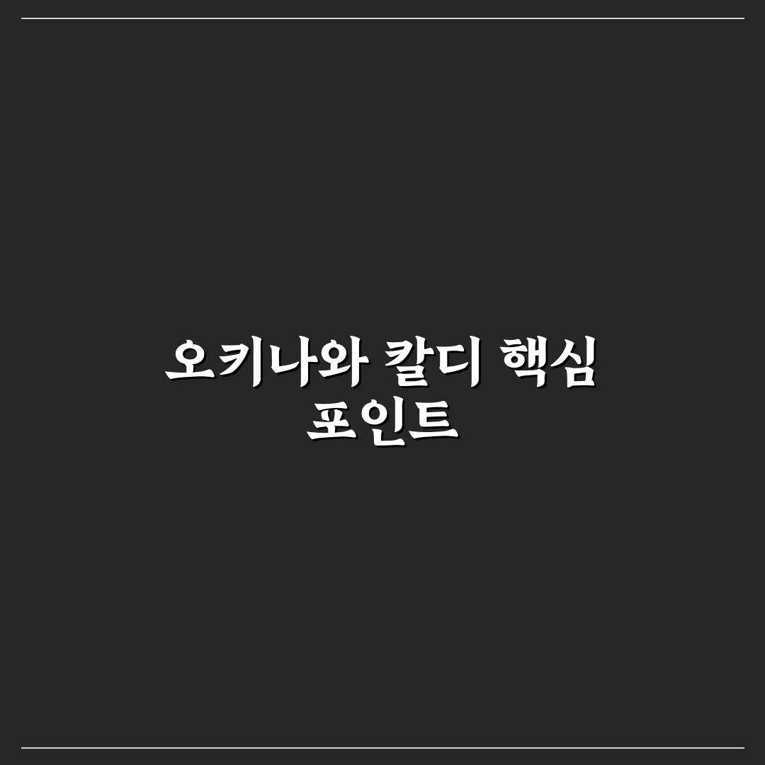오키나와 칼디 커피 맛과 가격 비교 분석 가이드