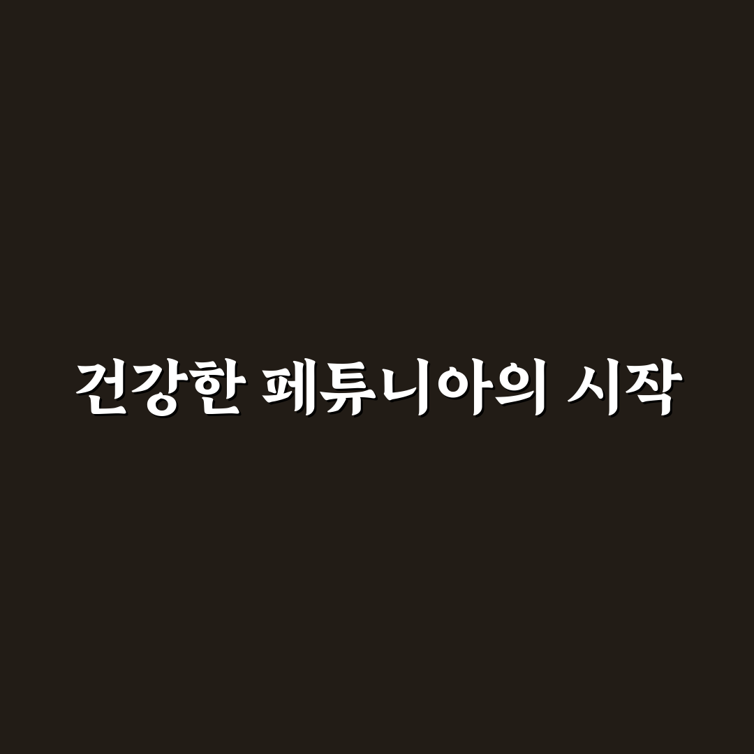 페튜니아 키우기 7가지 기준과 성장 환경 분석
