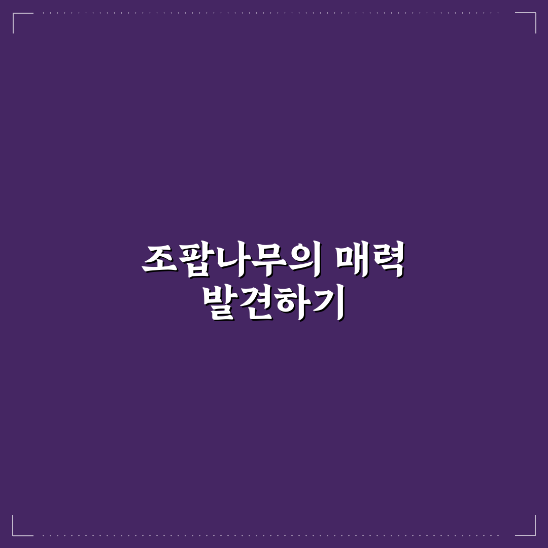 보령 무궁화수목원 조팝나무 식재 기준과 관리 비교 분석
