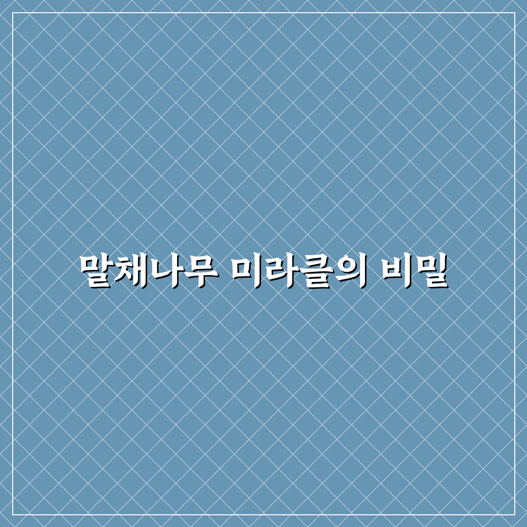 말채나무 미라클 성능 비교와 구매 기준 총정리