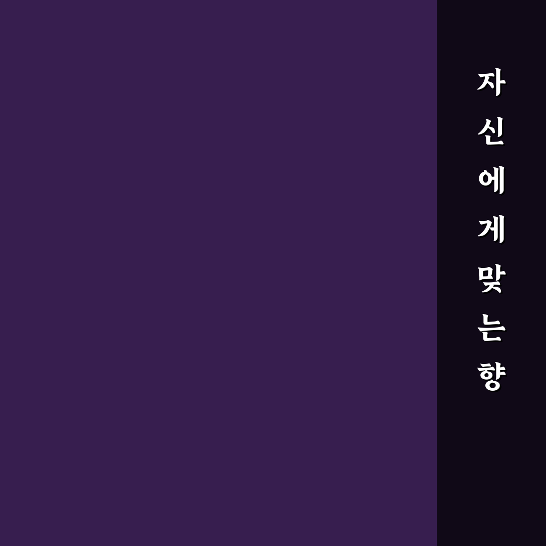 록시땅 버베나 샤워젤 5가지 기준별 효과 분석과 선택 가이드