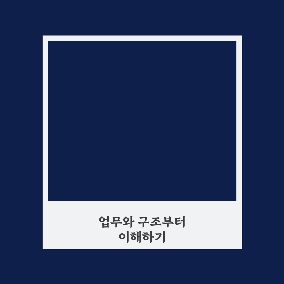 kca손해사정 연봉 분석과 직급별 차이 총정리