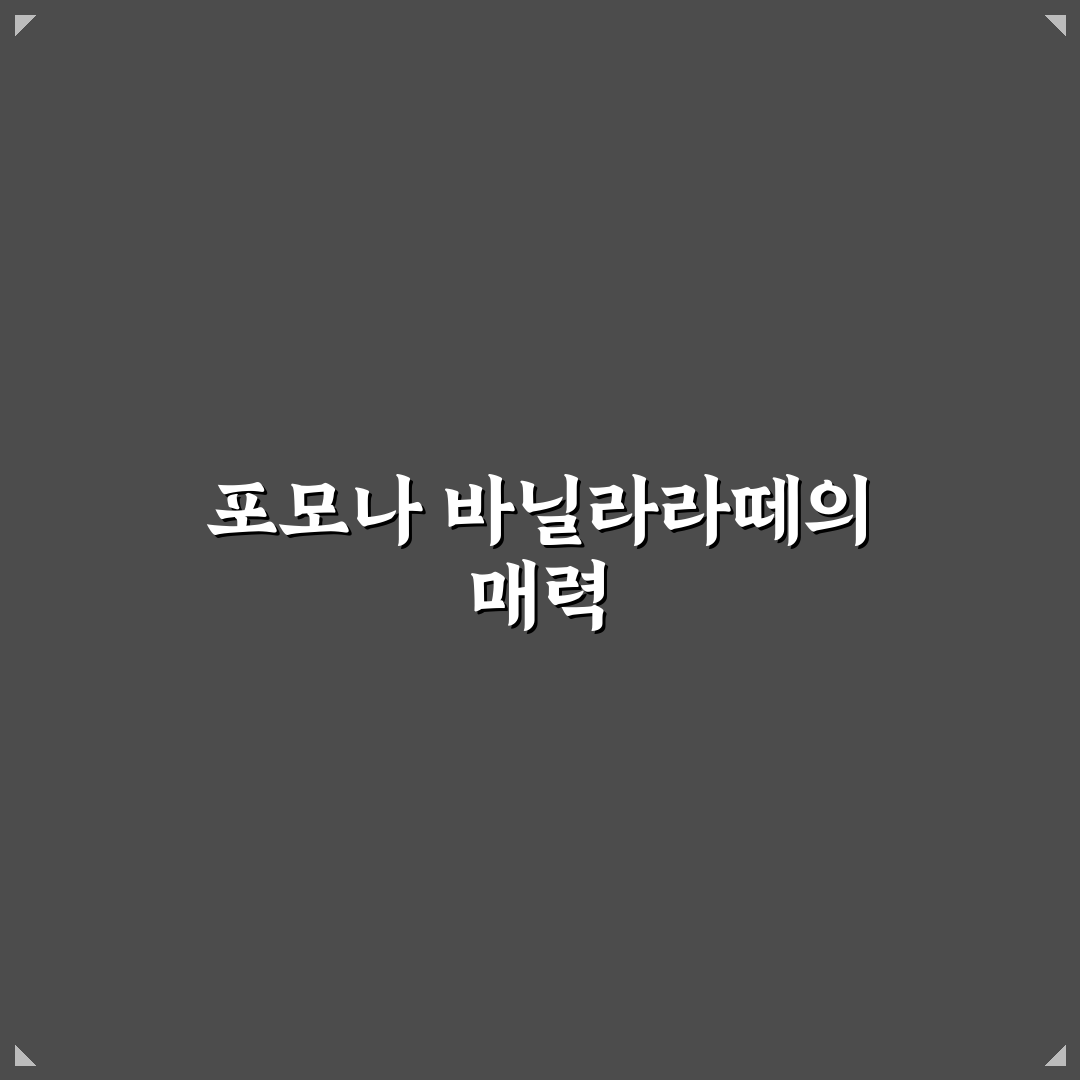 포모나 바닐라라떼 맛과 가격 비교 분석 가이드