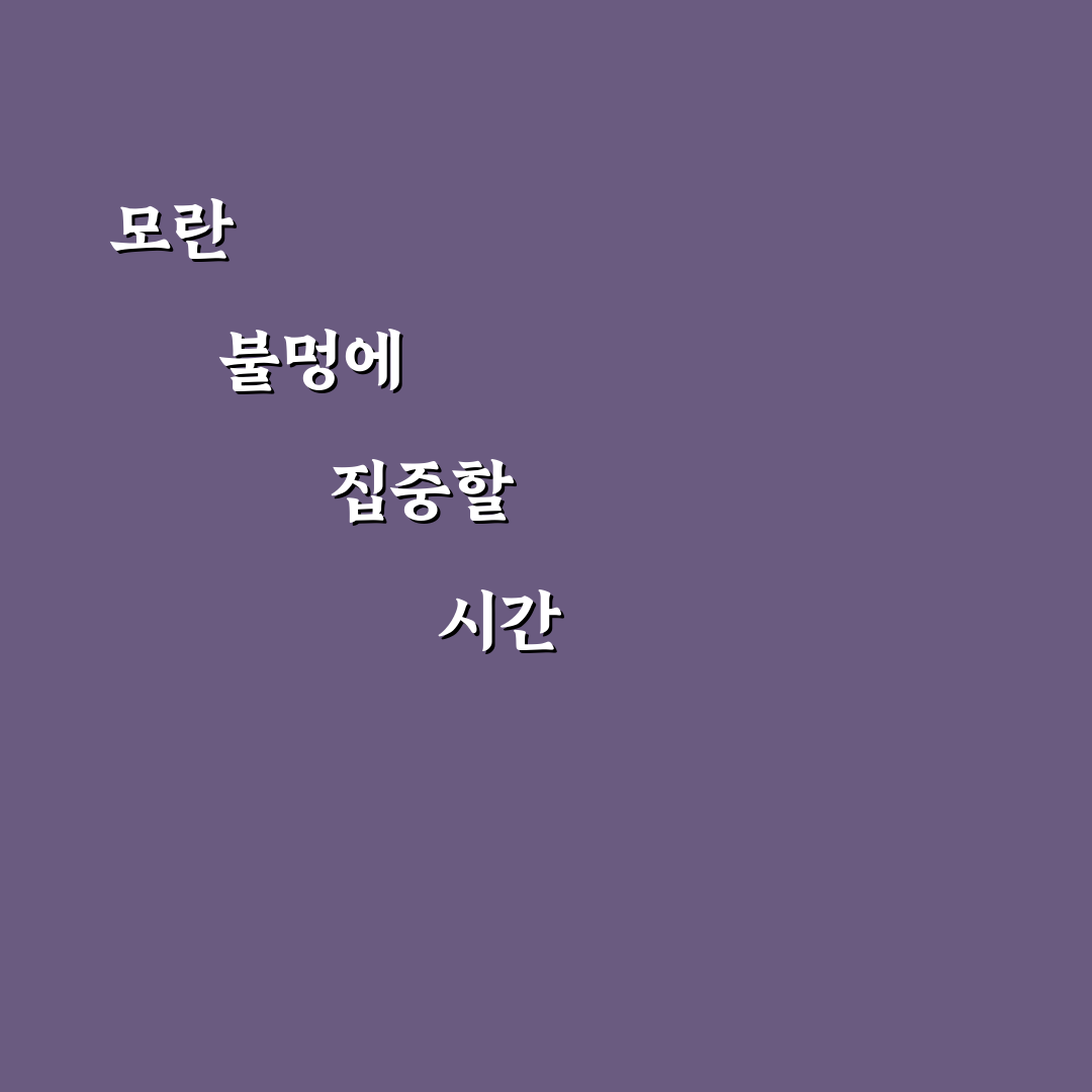 모란 불멍 경험 비교와 선택 가이드 5가지 기준