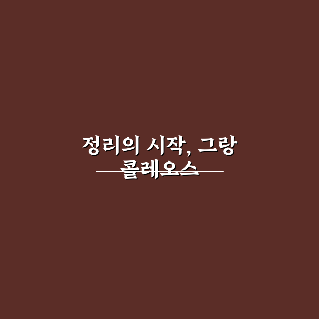 그랑 콜레오스 트렁크 정리함 추천 꿀팁 공유합니다
