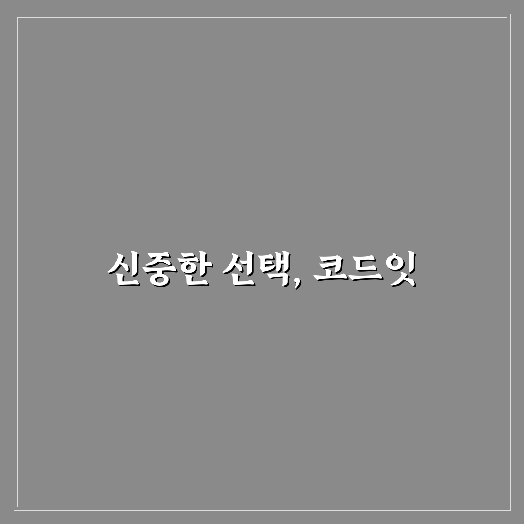 코드잇 비추천 이유와 대안 정리해드려요