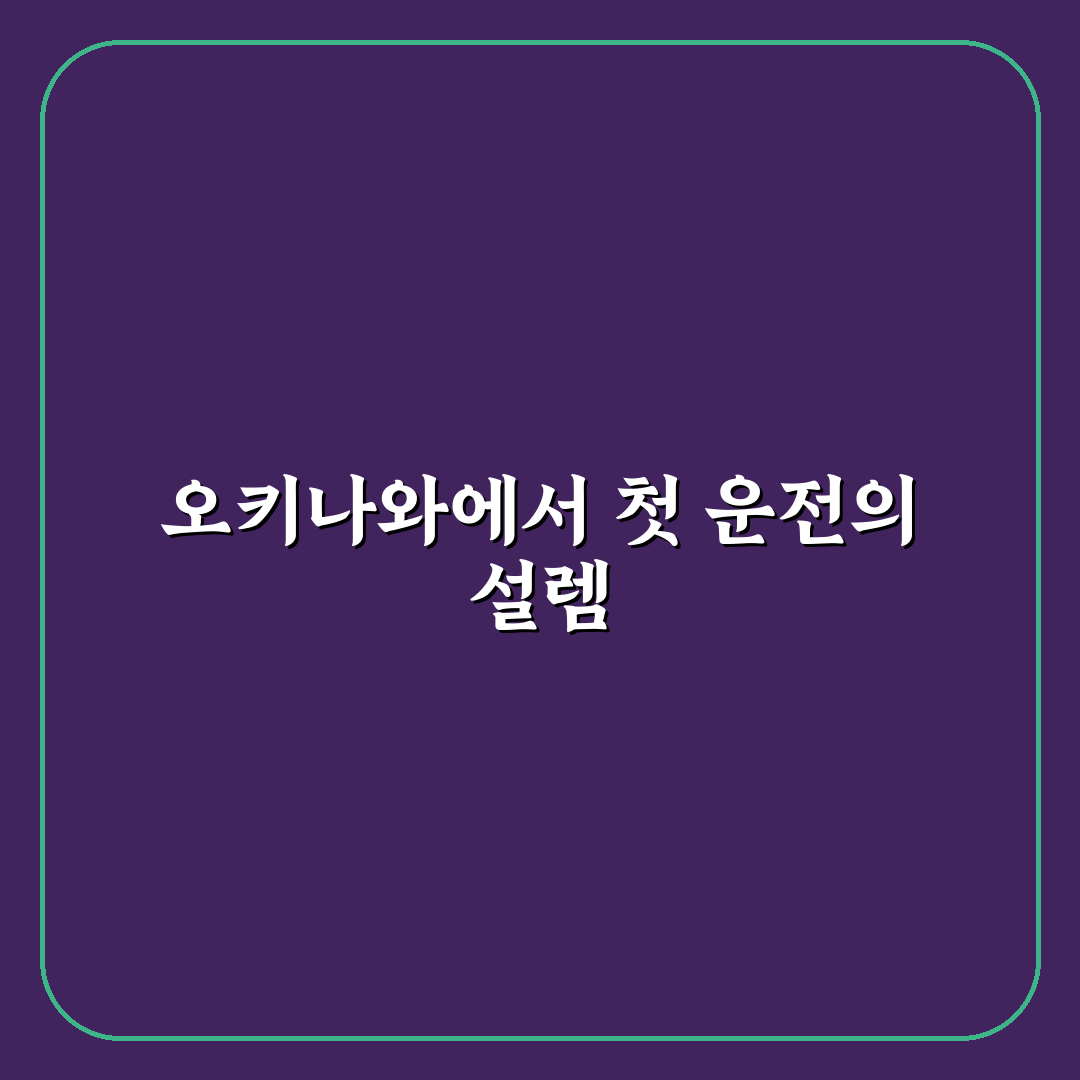 오키나와 달인 렌트카 직접 이용해보니 알게 된 점