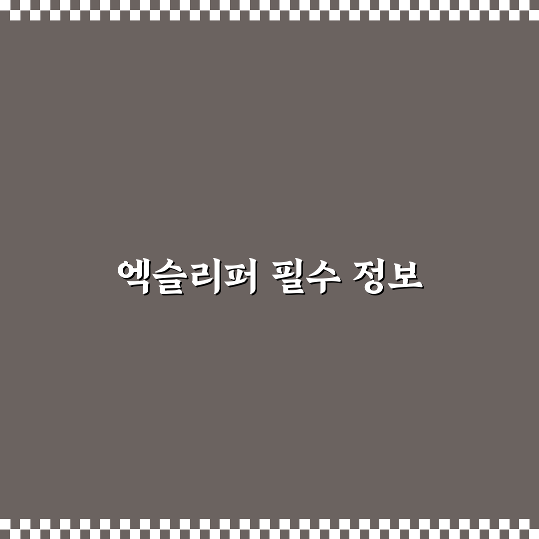 엑슬리퍼 후기 내돈내산 추천 꿀팁 정리
