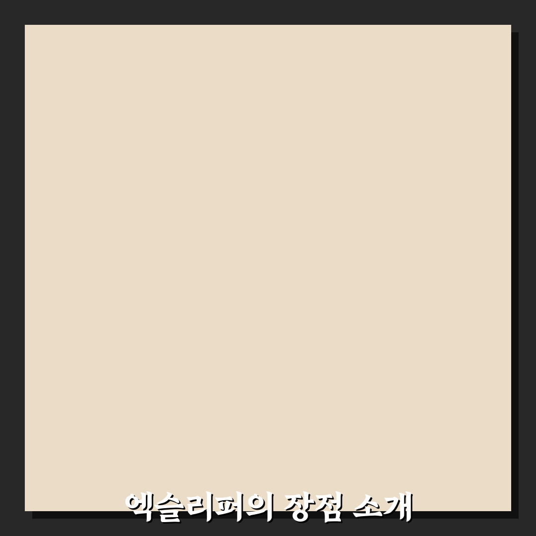 엑슬리퍼 후기와 꿀팁 정리하여 알려드려요