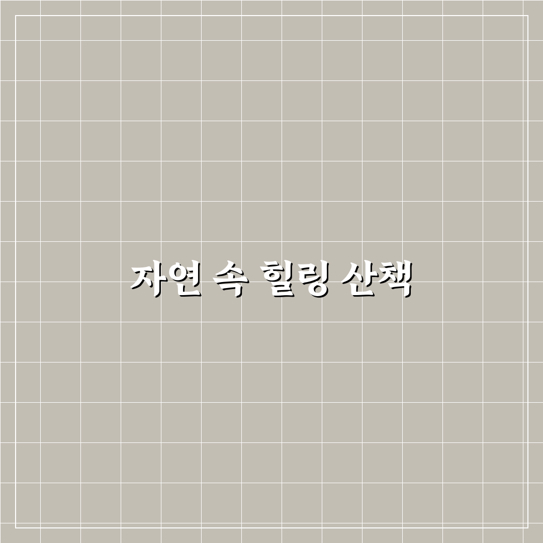 범지 산책로 추천과 함께하는 완벽한 산책 꿀팁 공유