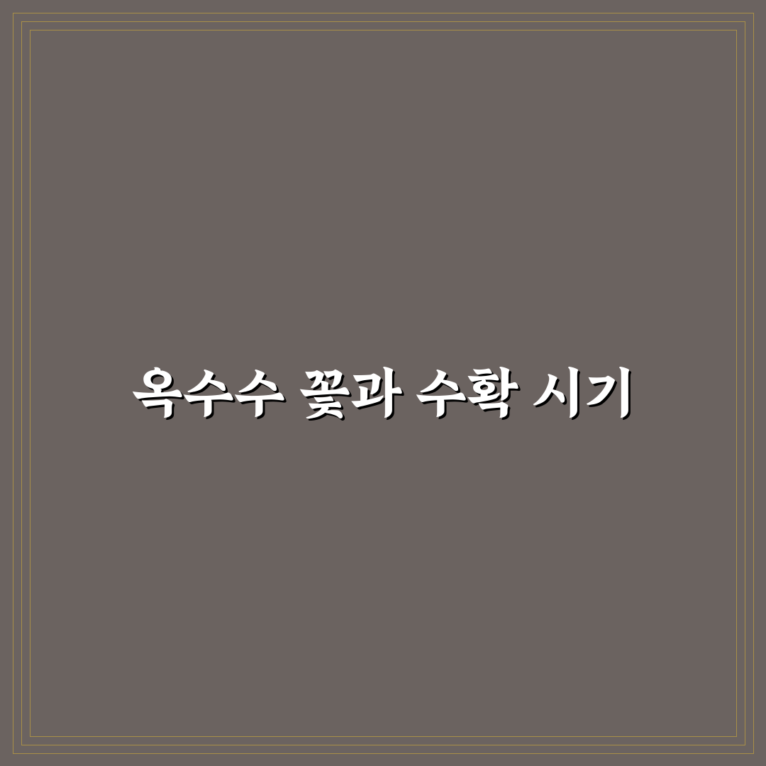 옥수수 꽃피고 수확시기 꿀팁과 관리 방법 공유