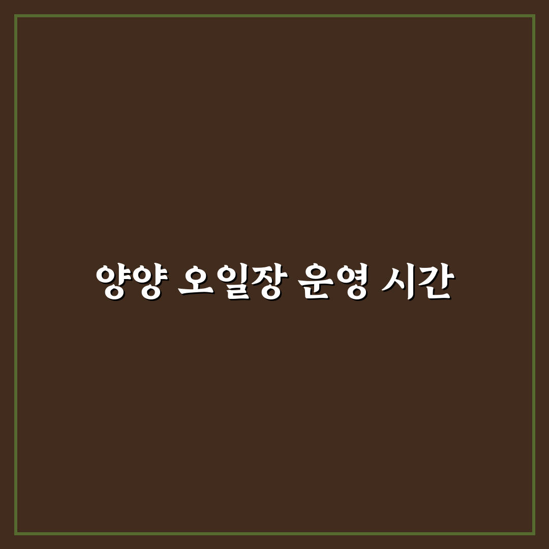 양양 오일장 시간 알려드려요 초보자도 쉽게 이해하는 팁