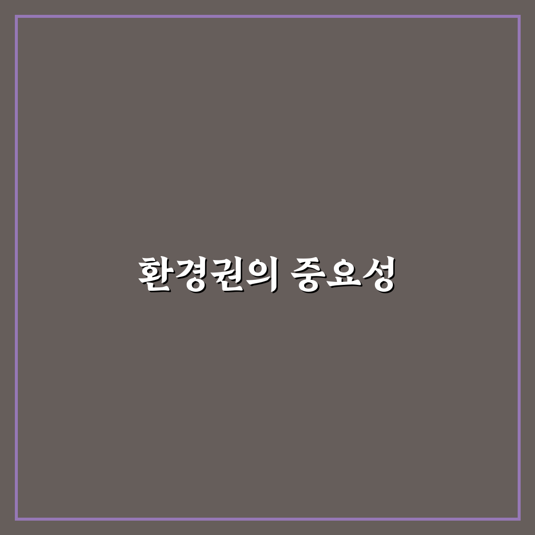 헌법재판소 환경권 이해하기 쉽게 정리했습니다