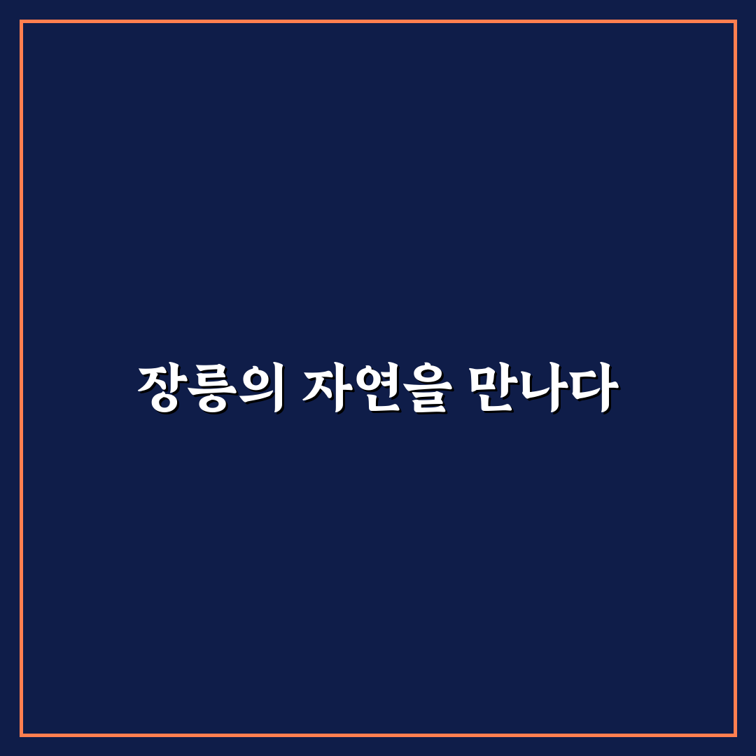 김포 장릉 둘레길 추천과 꿀팁 정리