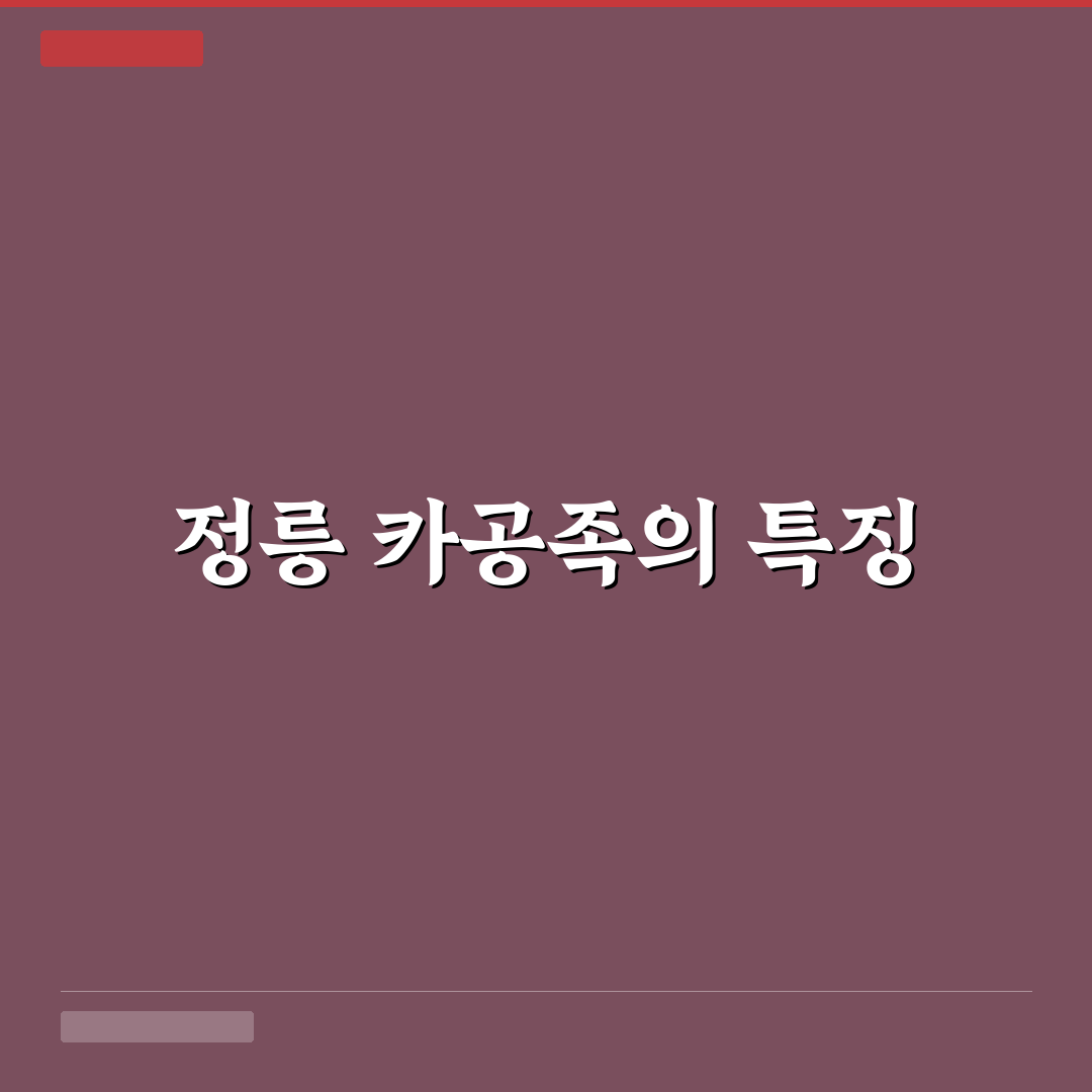 정릉 카공족 추천 카페와 꿀팁 정리