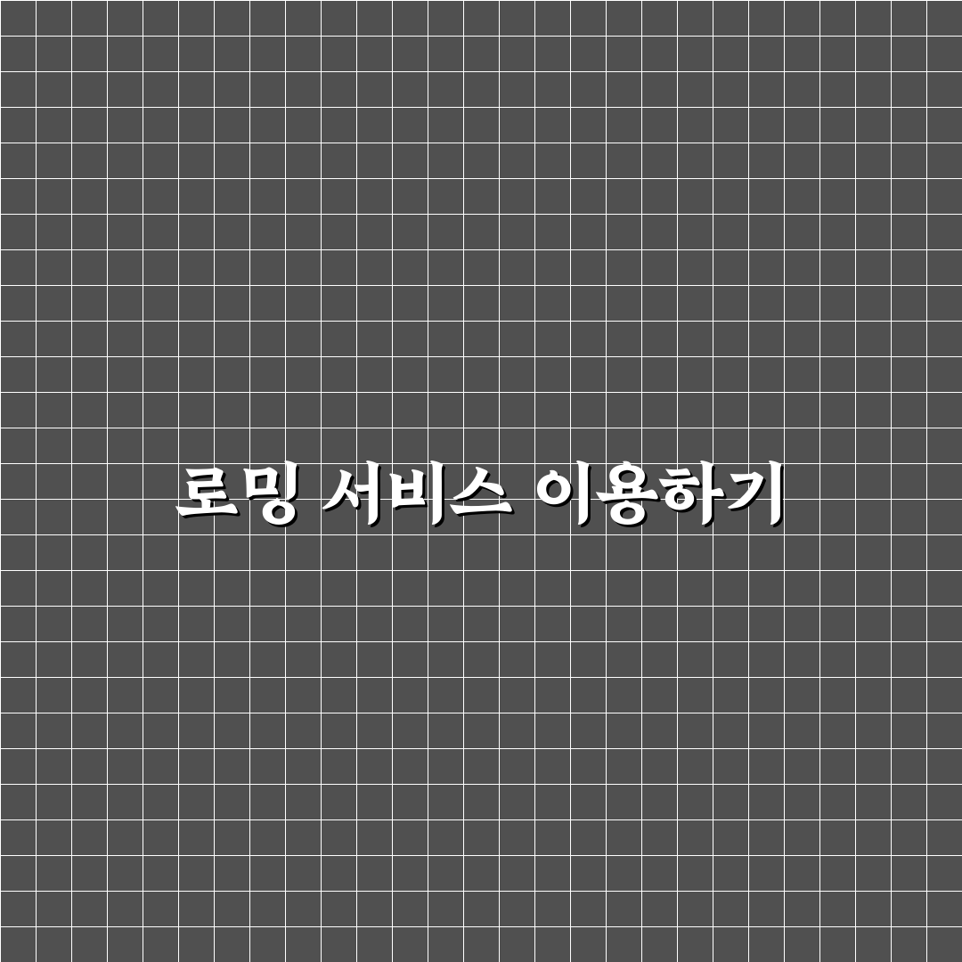러시아 여행 로밍 꿀팁과 요금 정리