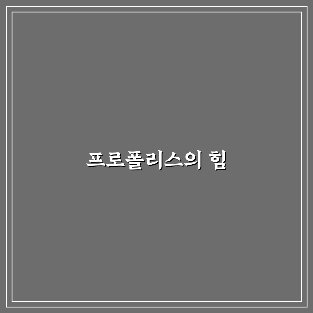 캐나다 프로폴리스 알약 추천 꿀팁 정리