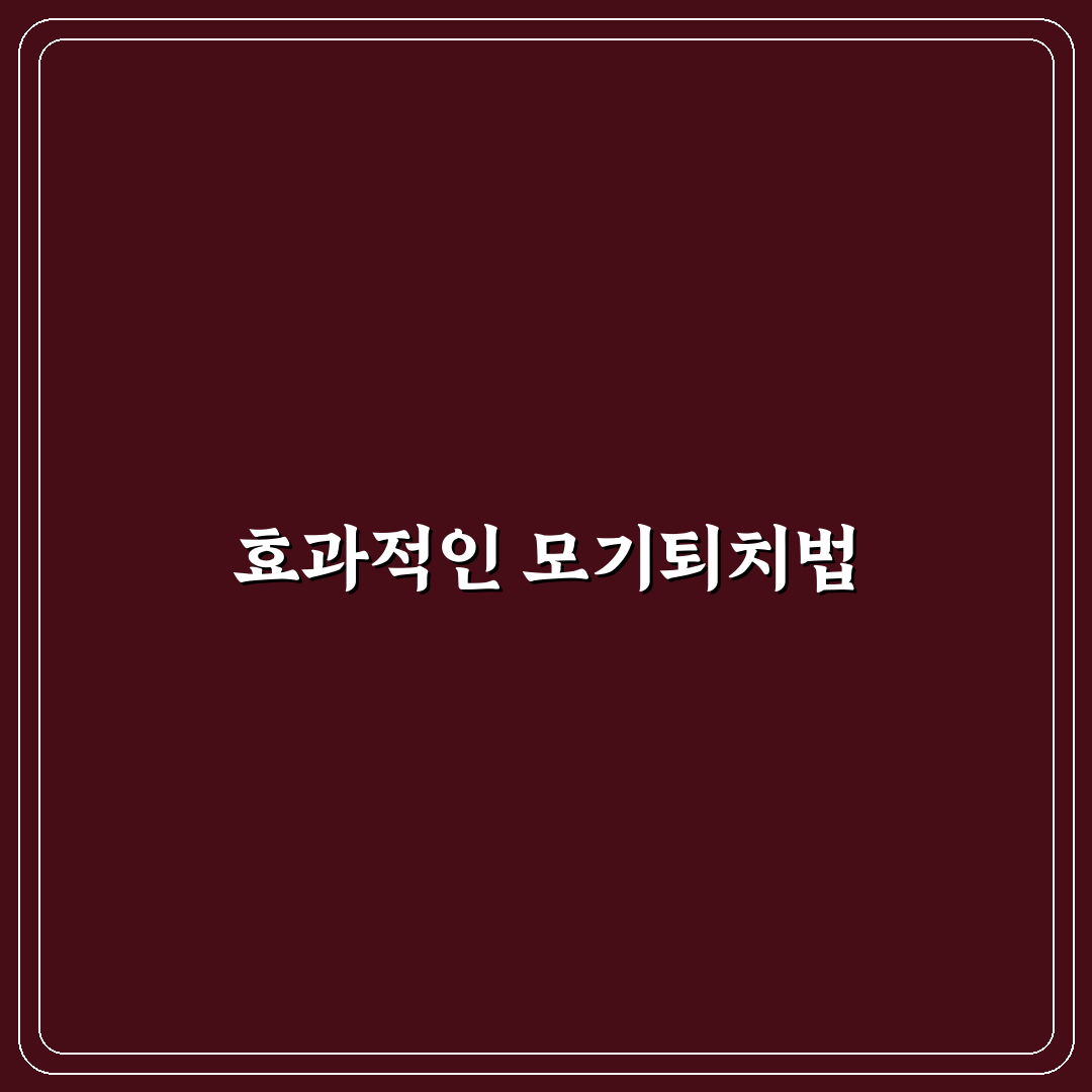 모기퇴치기 추천디바이스 활용 꿀팁 정리