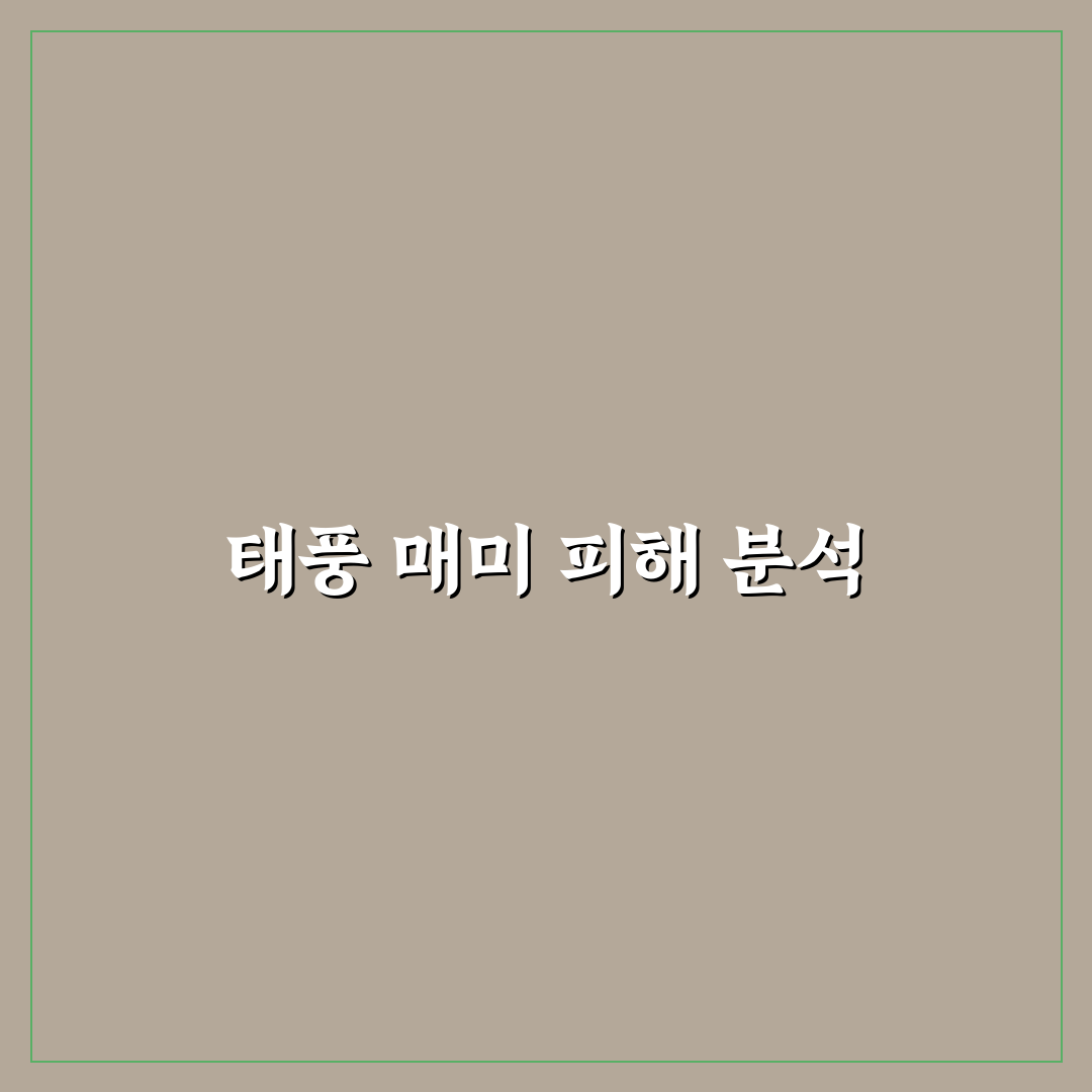 태풍 매미 사망자에 대한 사실과 교훈 정리