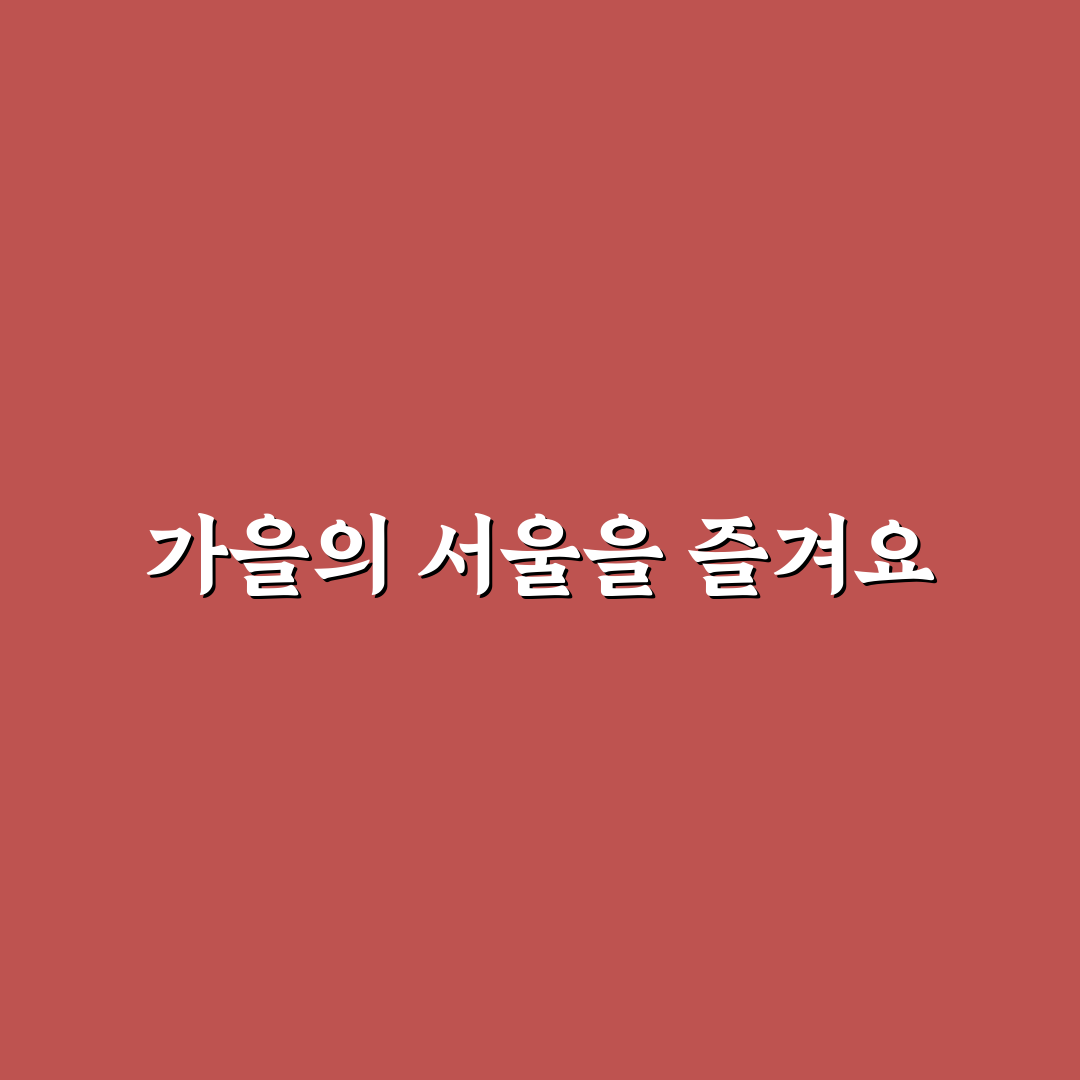 서울 가을 사진 명소 추천과 꿀팁 정리