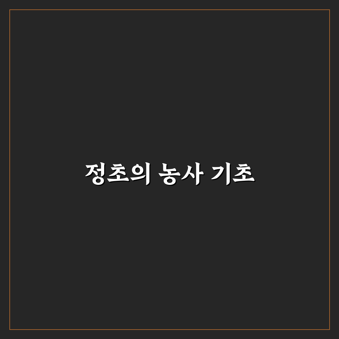 농사직설 정초 꿀팁으로 쉽게 시작하는 법