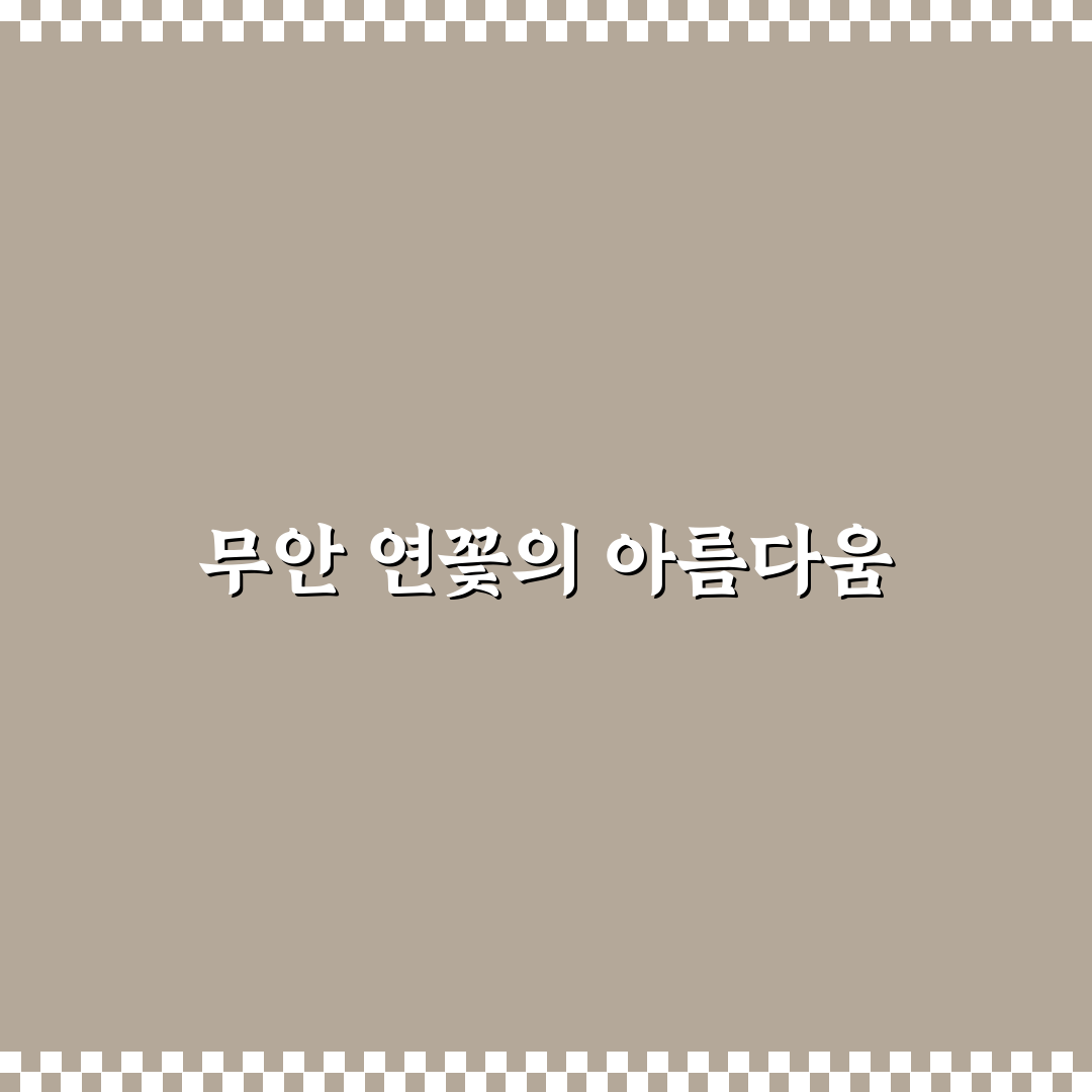 무안 연꽃축제 장소 추천과 방문 꿀팁 공유