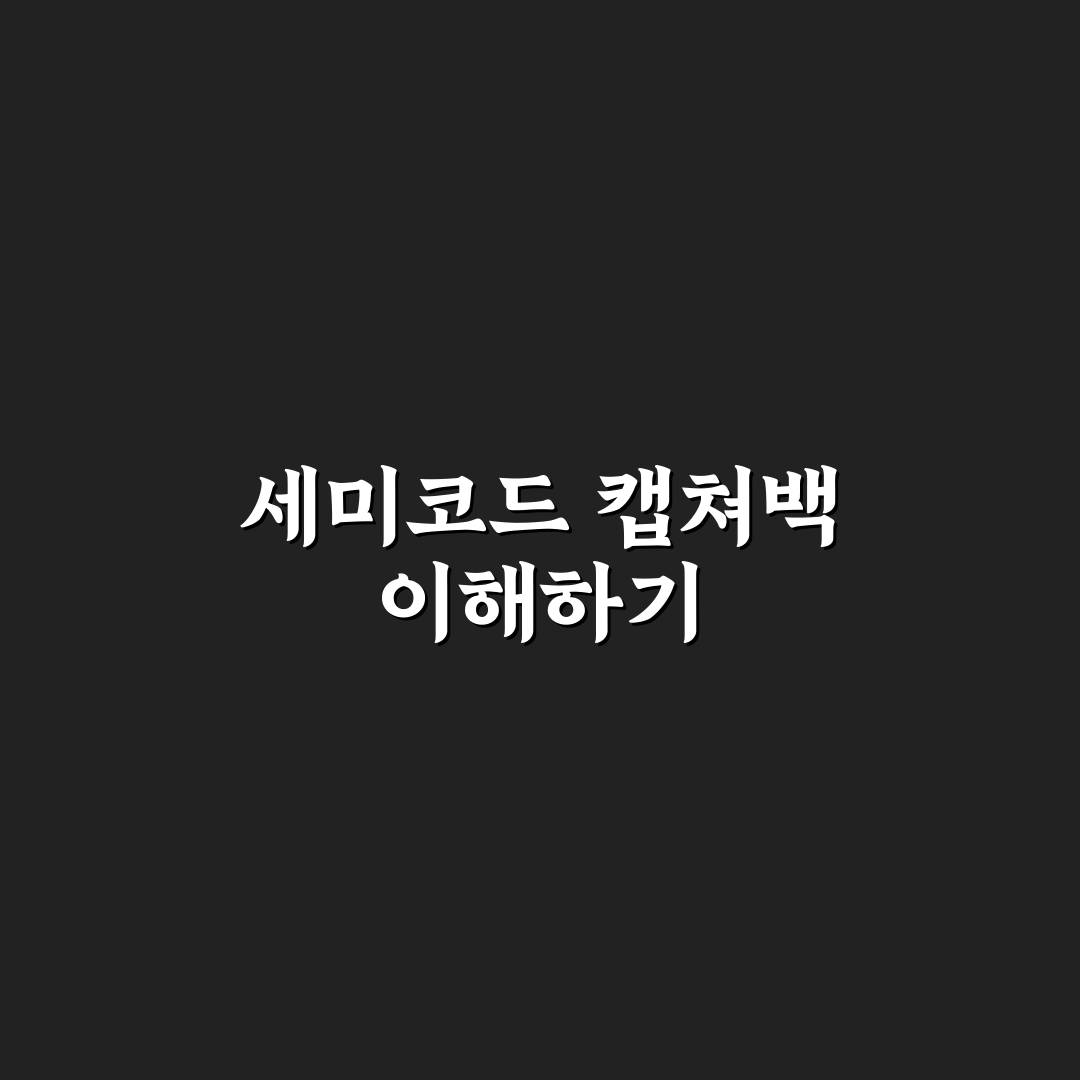 세미코드 캡쳐백 사용법과 꿀팁 정리