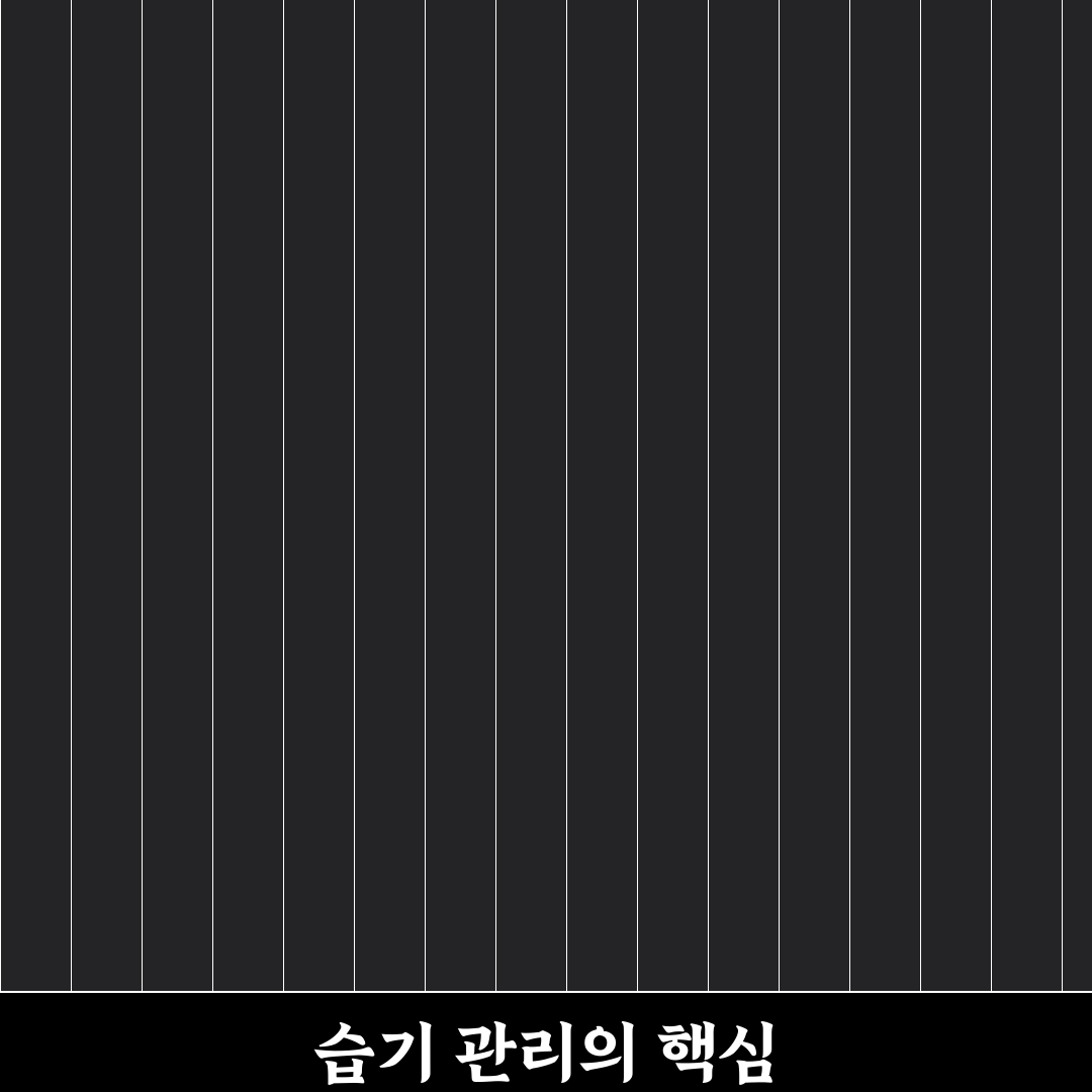 제습기 노써치 추천 꿀팁 정리