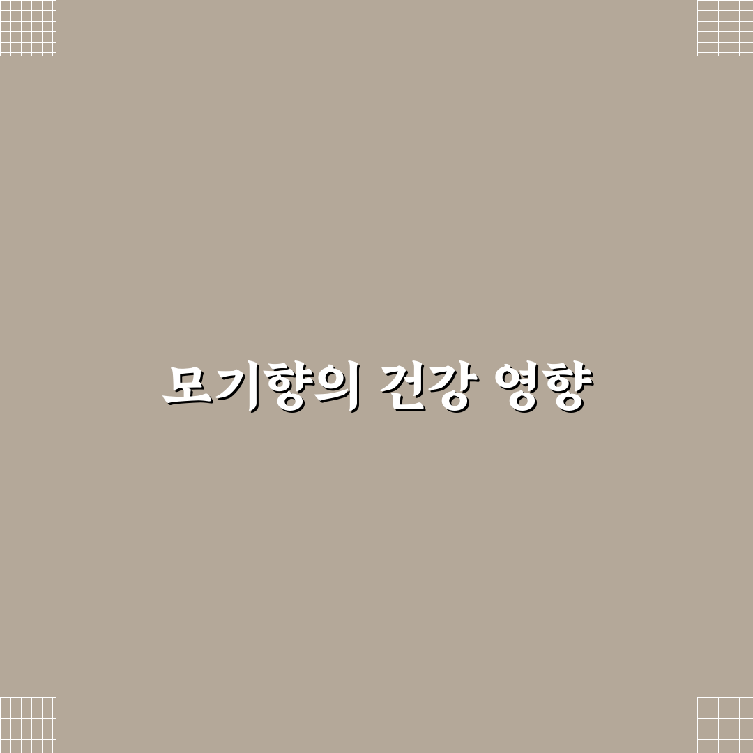 모기향 인체 영향 정리와 안전한 사용 꿀팁