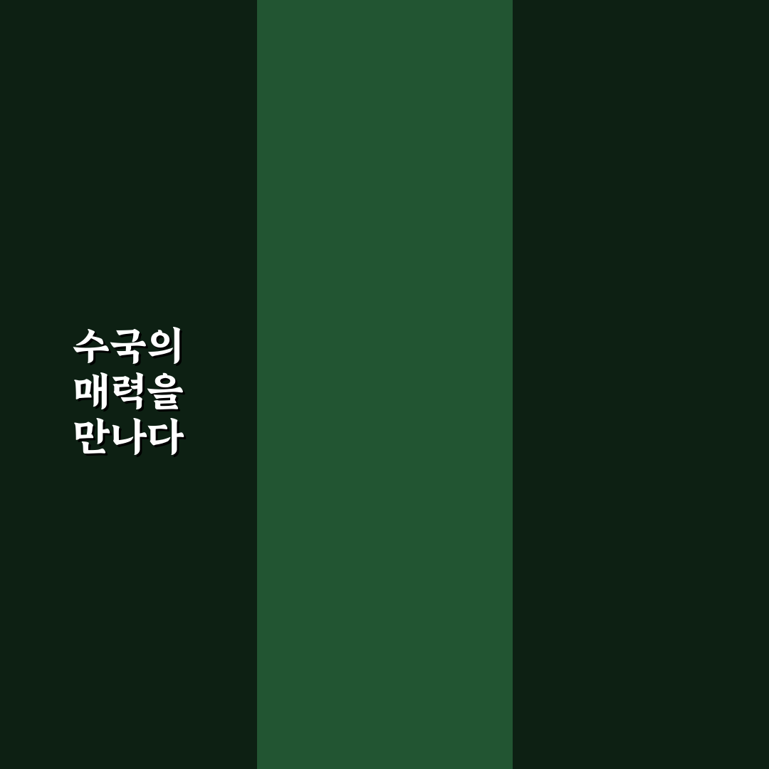청산수목원 수국 추천 꿀팁과 아름다운 풍경
