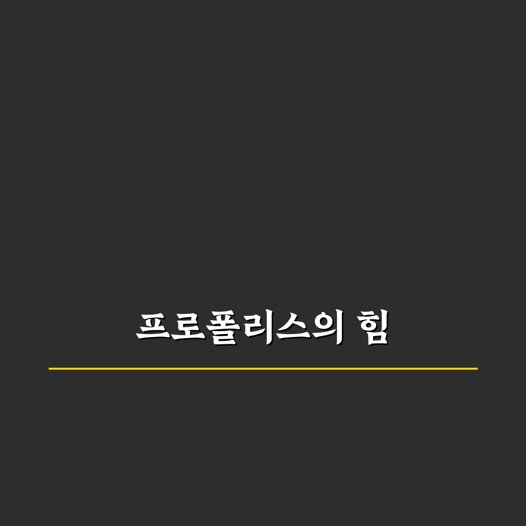 프로폴리스 레스큐 앰플 추천 꿀팁과 효과 정리
