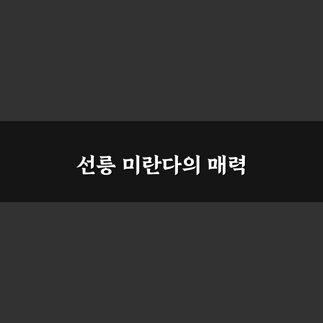선릉 미란다 추천 메뉴와 꿀팁 정리