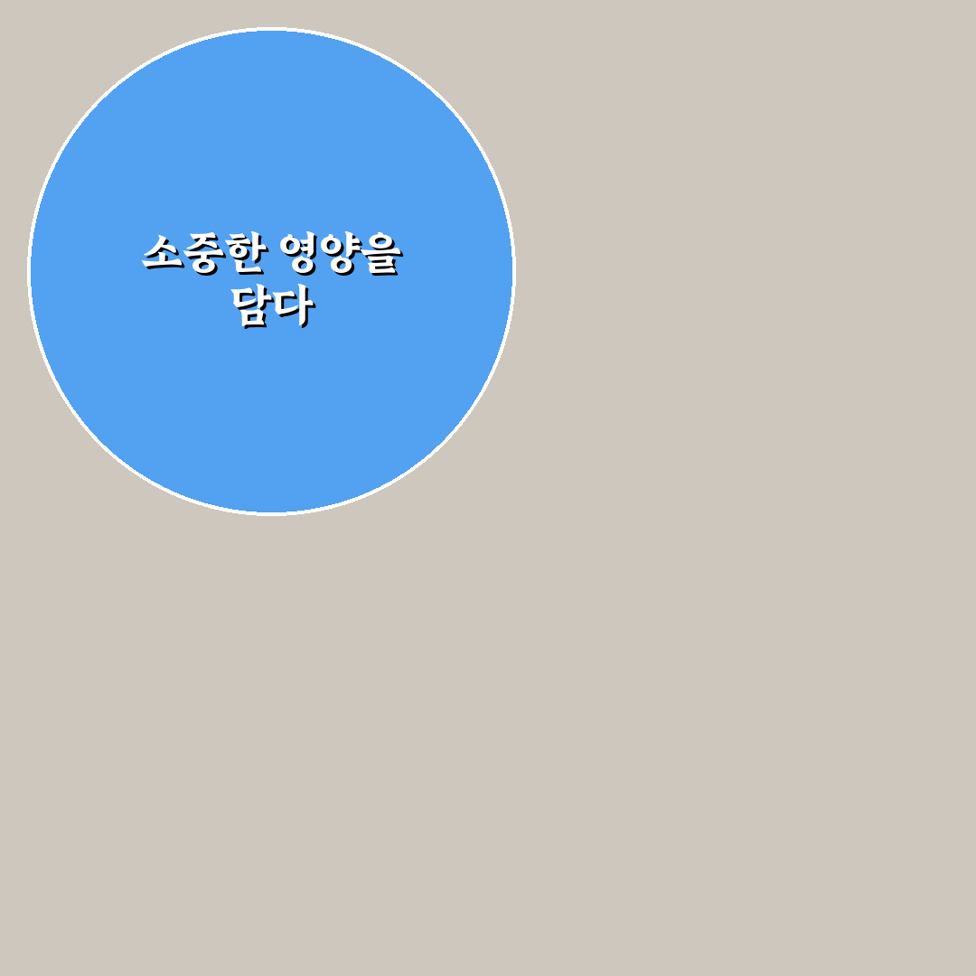 유아식 단호박 리조또 만들기 꿀팁 공유
