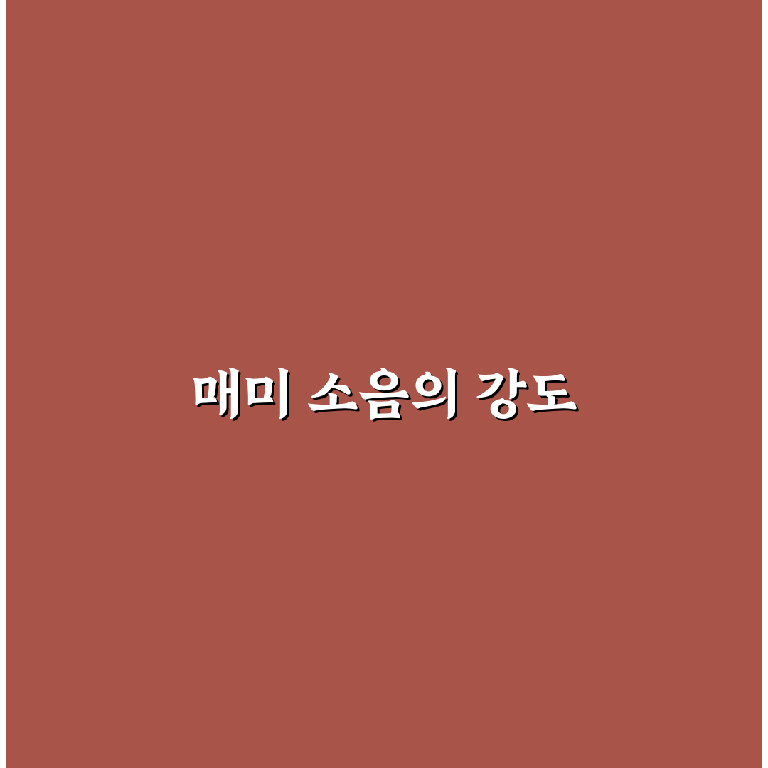 매미 데시벨의 비밀 알려드려요