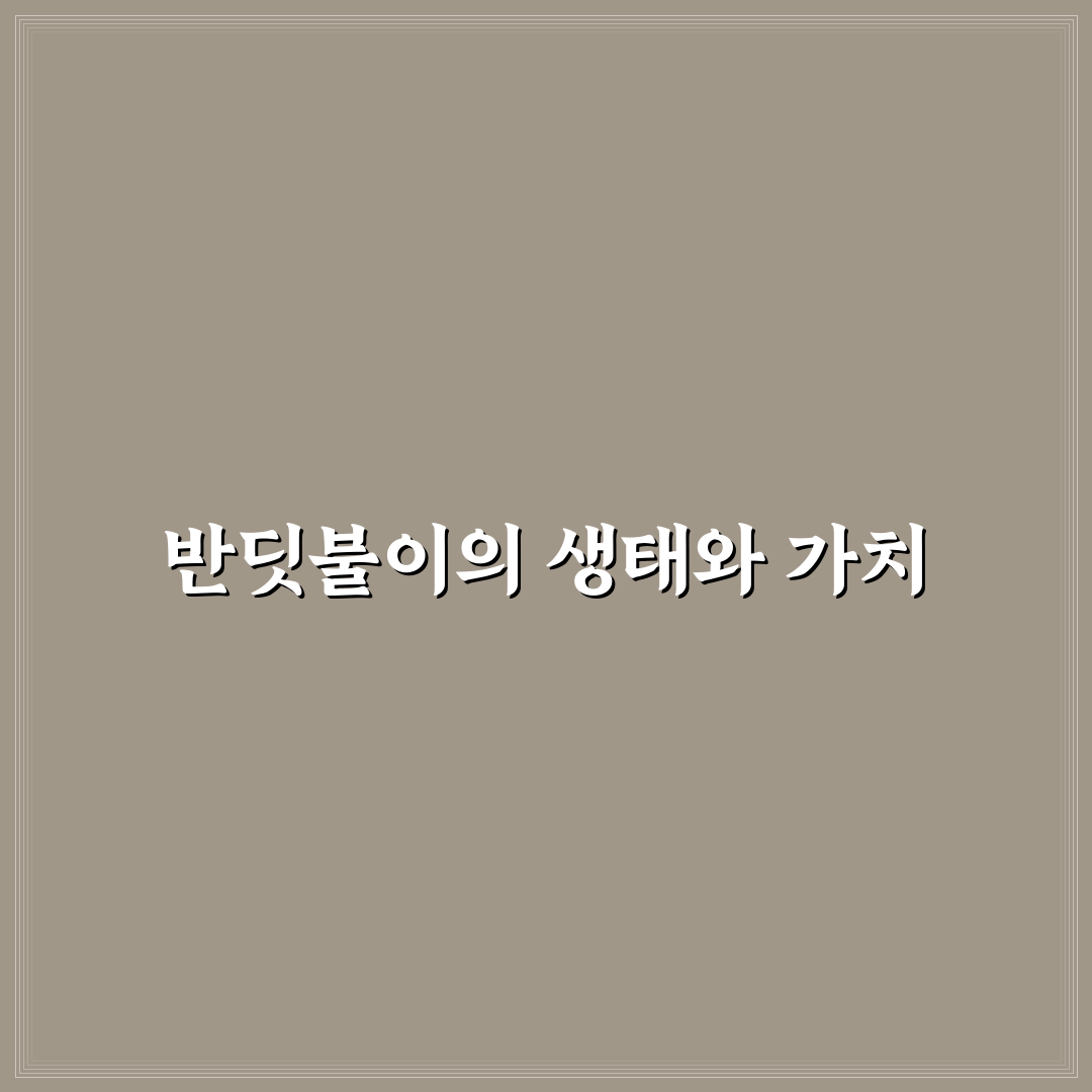 반짝반짝 반딧불이 플로렌스 꿀팁과 매력 정리