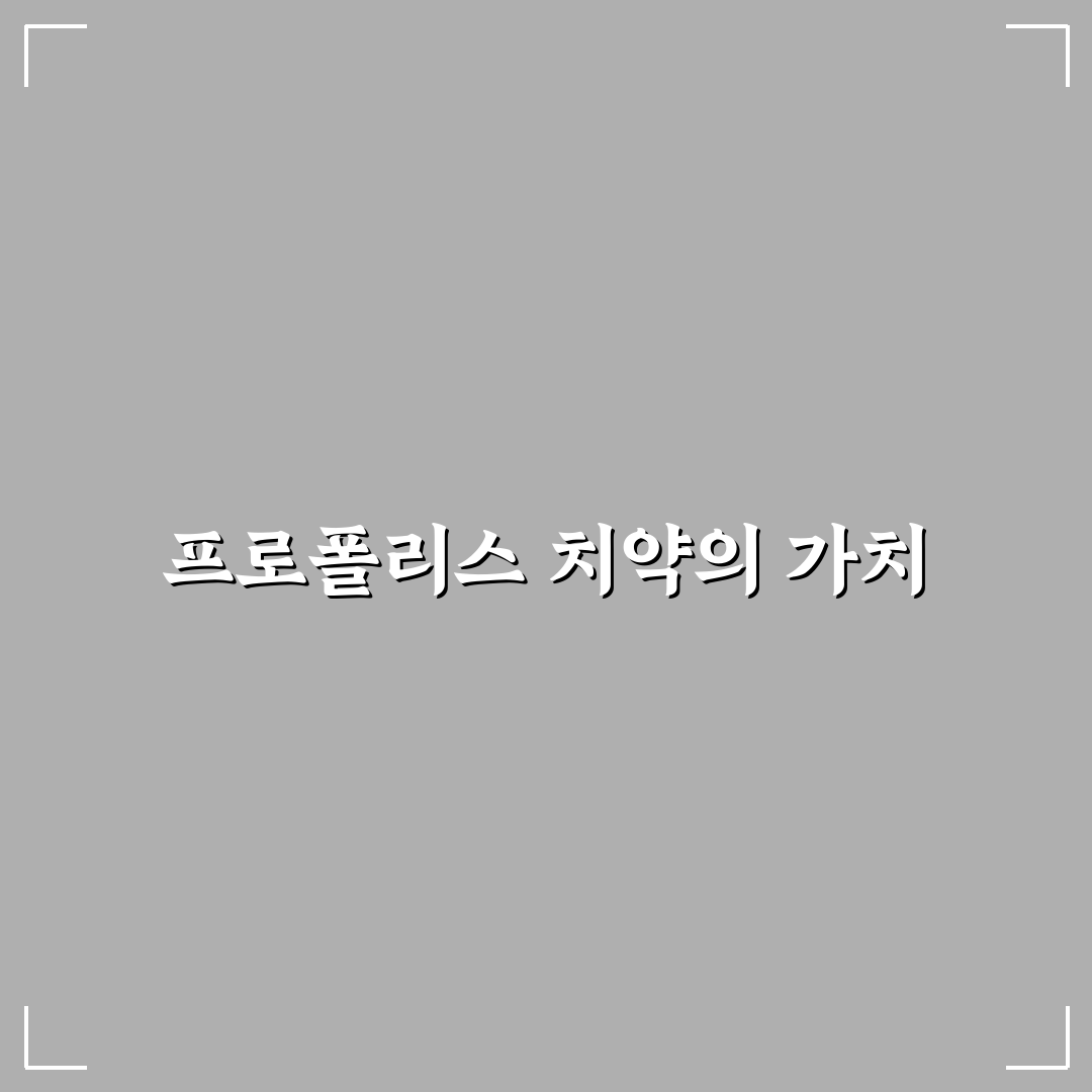 프로폴리스 어드밴스드 치약 추천 꿀팁 공유
