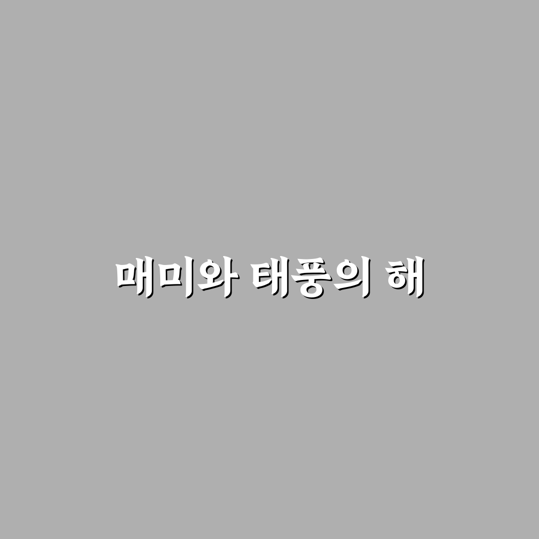 매미 태풍년도에 대한 꿀팁과 대처법 공유
